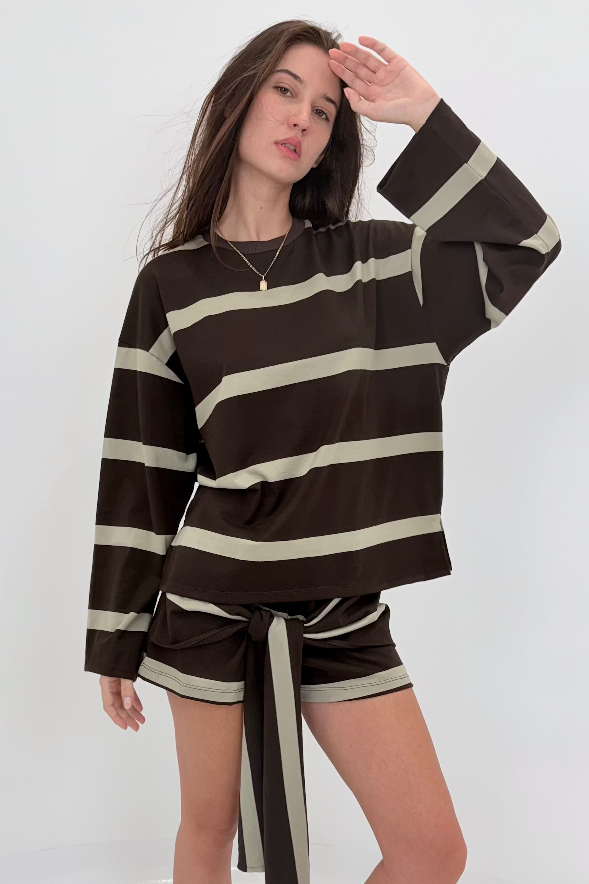 Brown & Beige Stripe